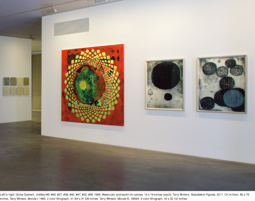 Intuitive Progression, installation view