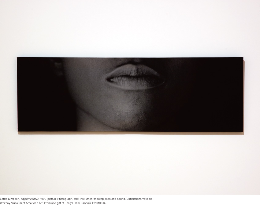 Lorna Simpson, Hypothetical?, 1992 (detail)