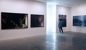 installation view