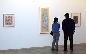 installation view